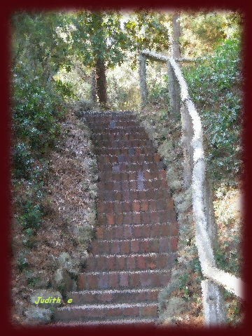 Steps to Tomorrow
