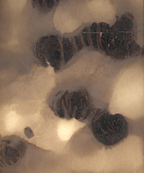 tar art--'CAVE BEHIND THE MOON ' (C) 2006 ELTON HOUCK