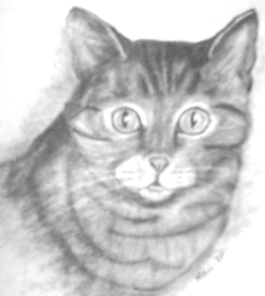 Sally