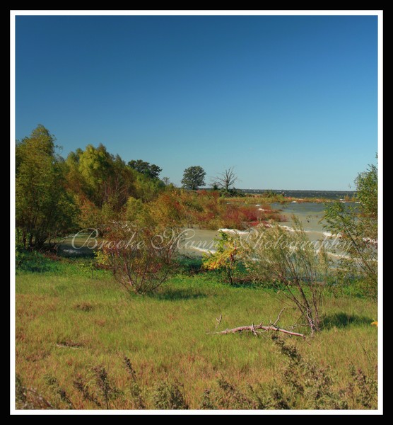 Autumn by the Shore