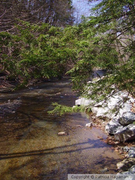 Creekside