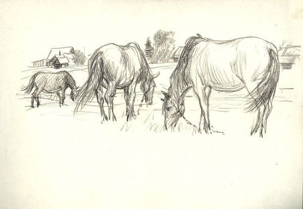 THE FARM