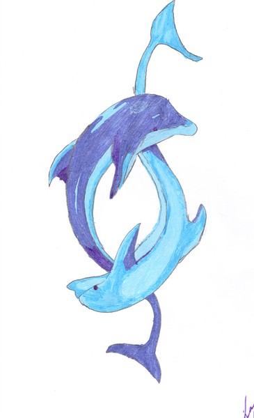 dolphins