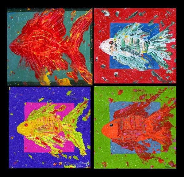 Contrast Fish