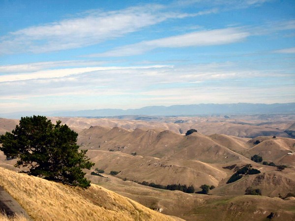 Hawkes Bay Drought