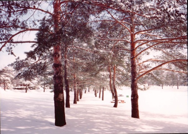 Parc Jacques Cartier winter