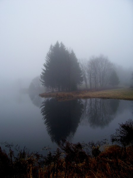 Life Reflecting