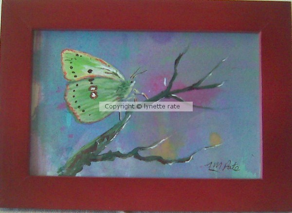first flutter
