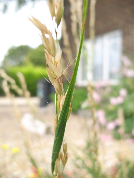 Exercise in focal length