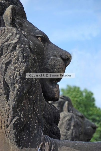 St George's Lion