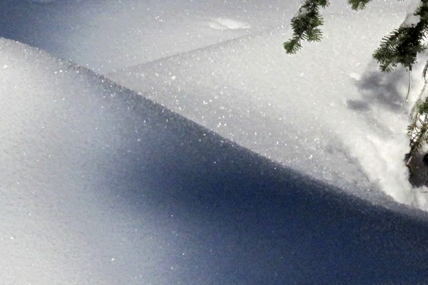 Mount Seymour Snow Scene 
