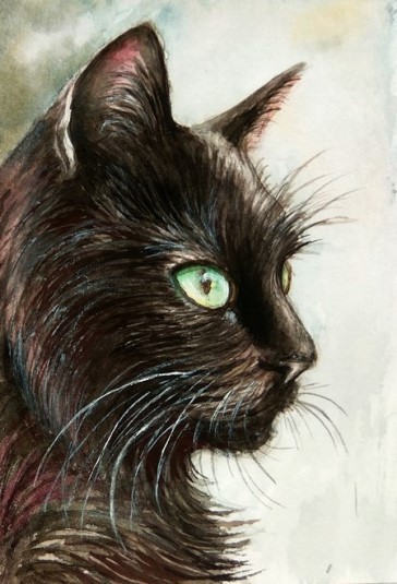 Black cat