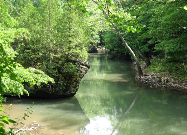 By the River