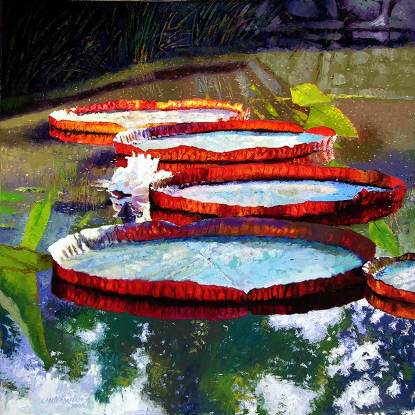 Summer Sunlight on Lily Pads
