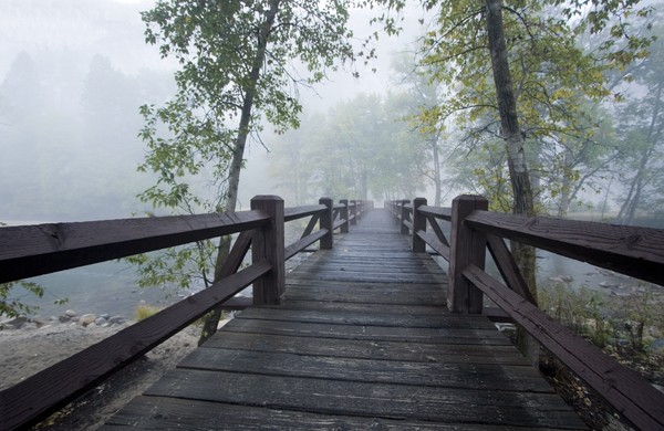 The Bridge
