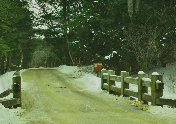 A DRIVE THROUGH THE PARK