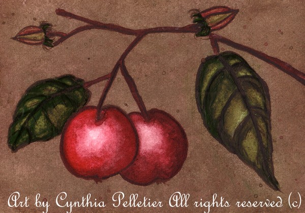 Serises-ACEO original