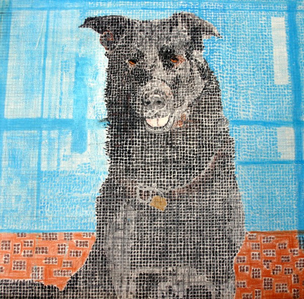 Big the Dog
