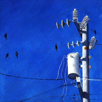 birds on a wire