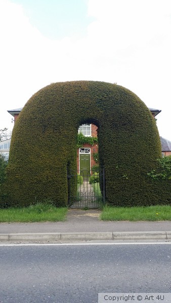 Through the hedge