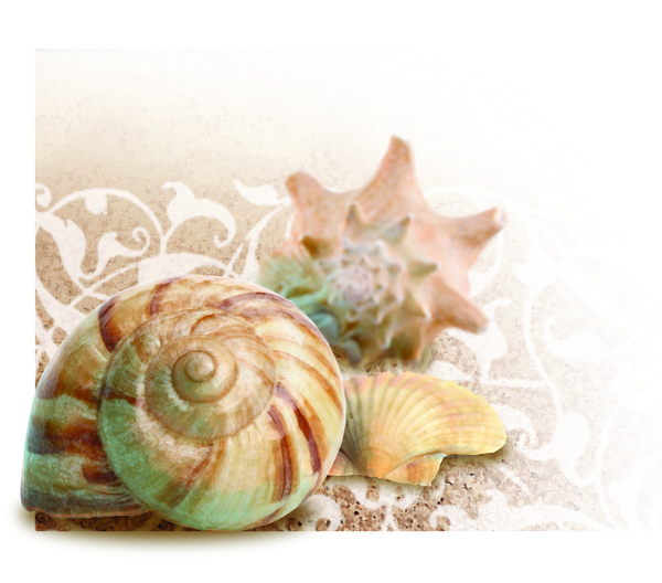 Shell Game
