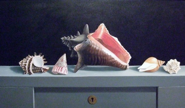 schelpen