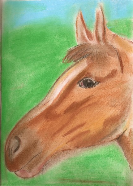 animhorse1