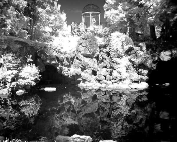 Peaceful garden