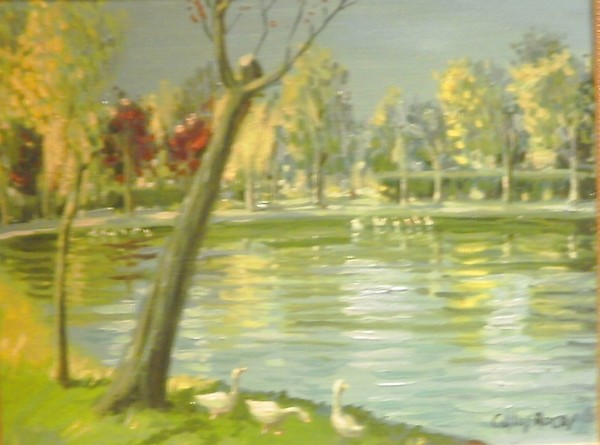 Parque de patos