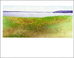 wc-thmb grass painting