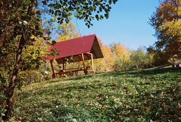 Autumn