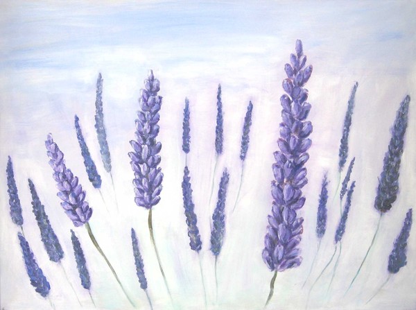 Lavender 