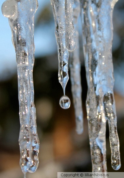 Melting Ice