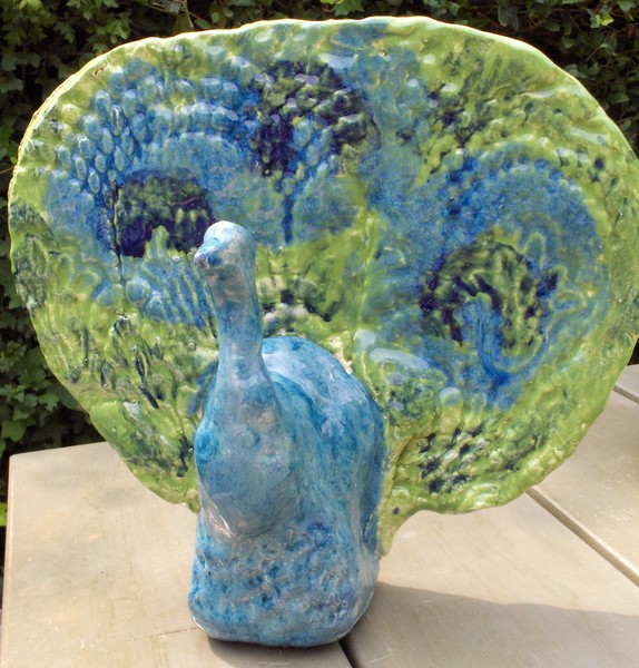 peacock