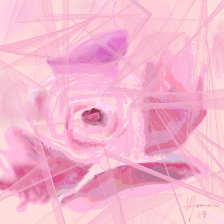 ALWAYS ROSE