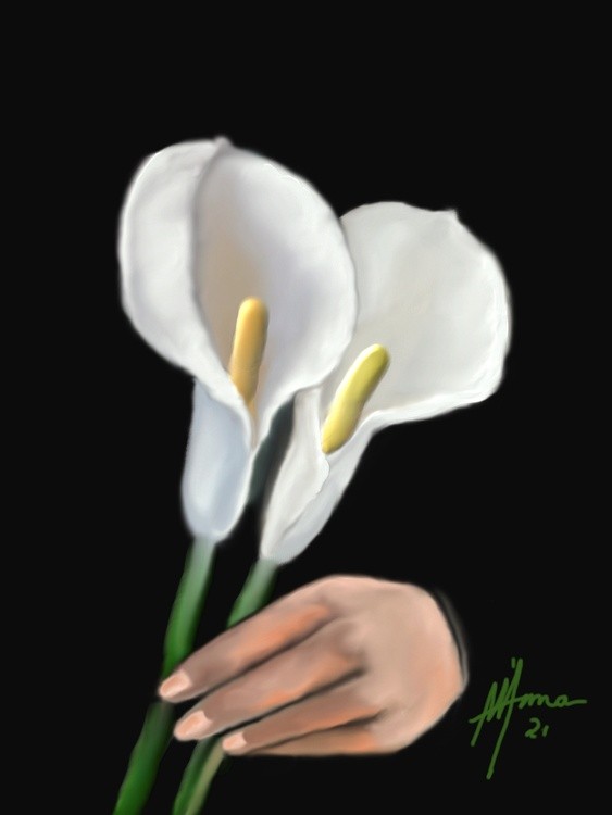 CALLA LILLY bak