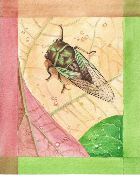 Cicada Days