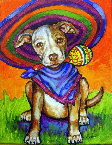 Cinco De Mayo Dog