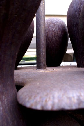 Head
