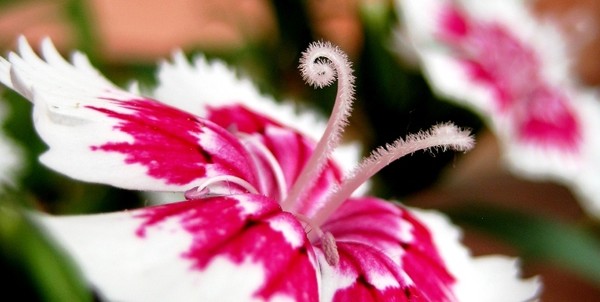 Swirl......