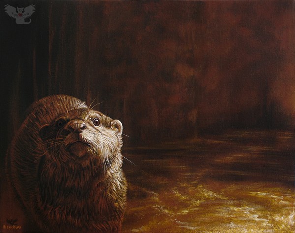 Otter Curiosity