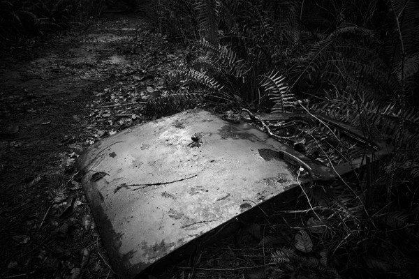 Lost your door? 2