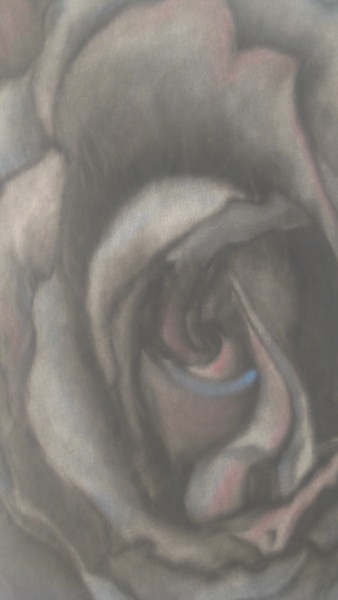 Eye See A Rose