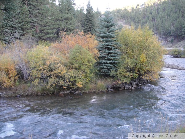 Fall Foilage Sept 2011 My camera 019