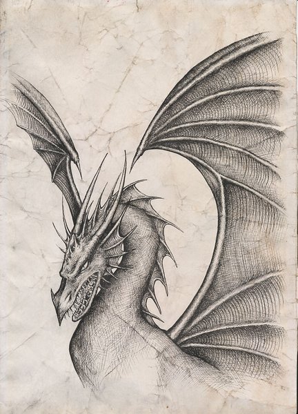 a dragon