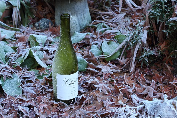 Chablis On Ice