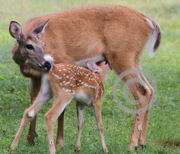 Togetherness!