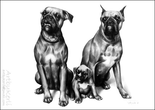 Kletu, Kutsikas, Orry