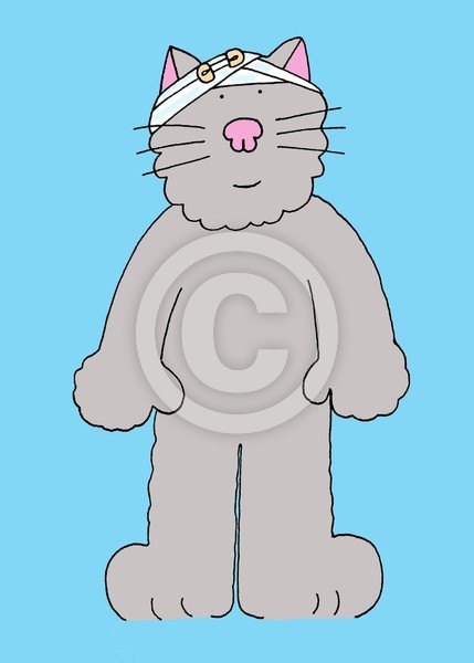 Cat with bandaged head.