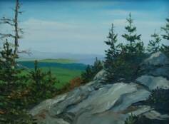 View from Kearsarge